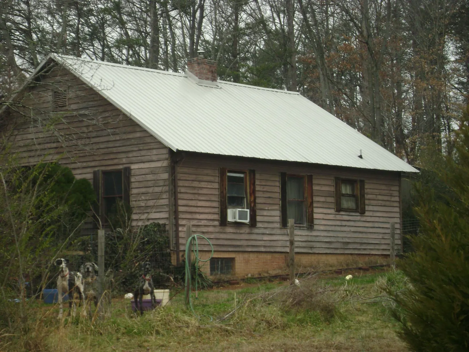 White metal roof on an old wood sided farmhouse, from a Asphalt Shingle Roof Repair job in Rice